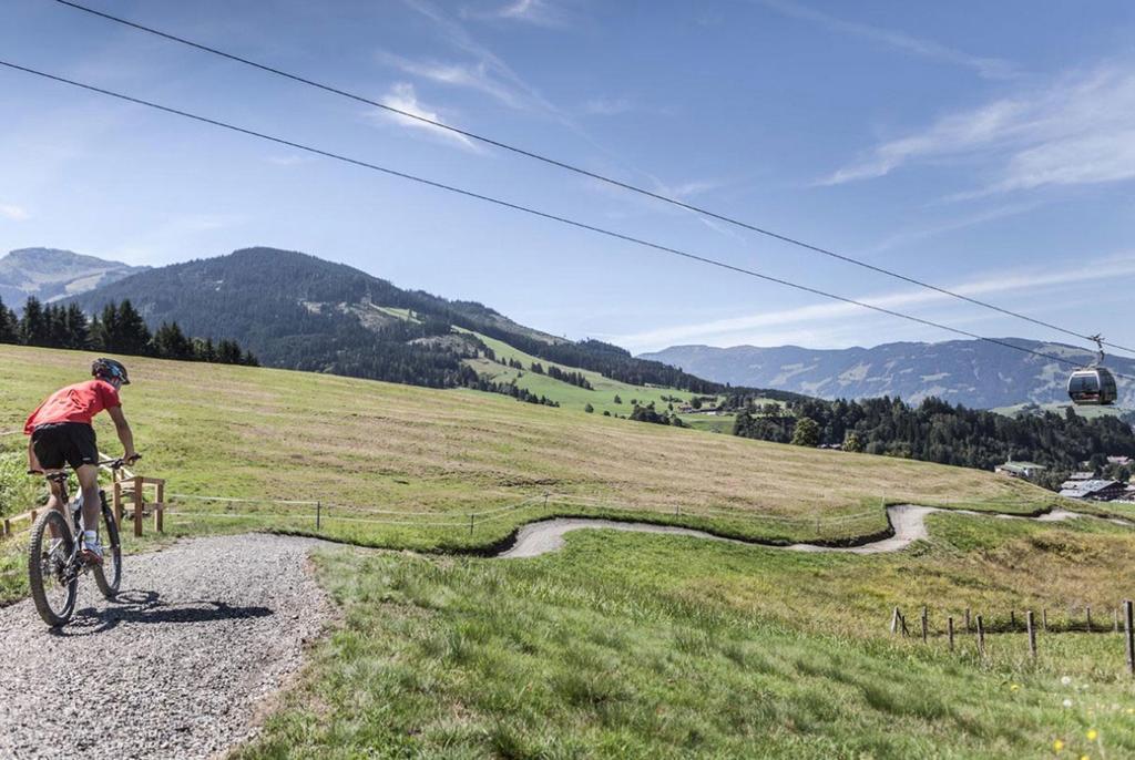 Pension Appartements Alpenblick Maria Alm am Steinernen Meer Exterior foto
